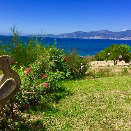 D'architecte Avec Piscine Et Acces Mer * Pietrosella